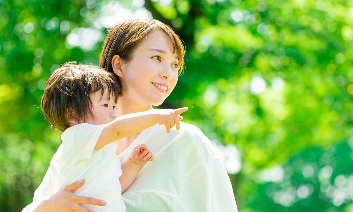 いい家の記憶を未来の価値へ
